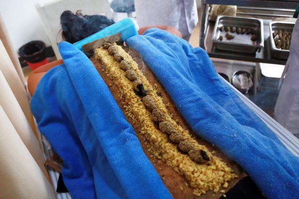 處理RealPlayer與StreamBox之間的抵觸