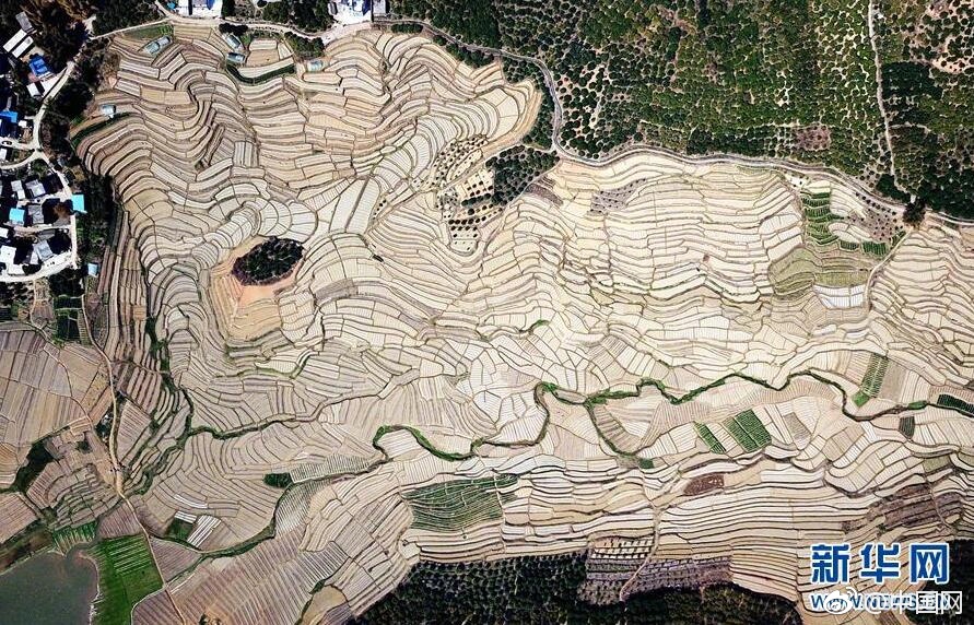 云开彩票app最新下载截圖4