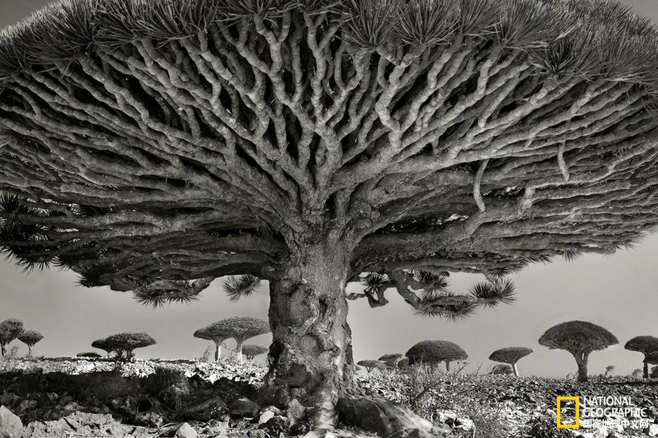 搶先體會(huì)Norton SystemWorks2005主要功能