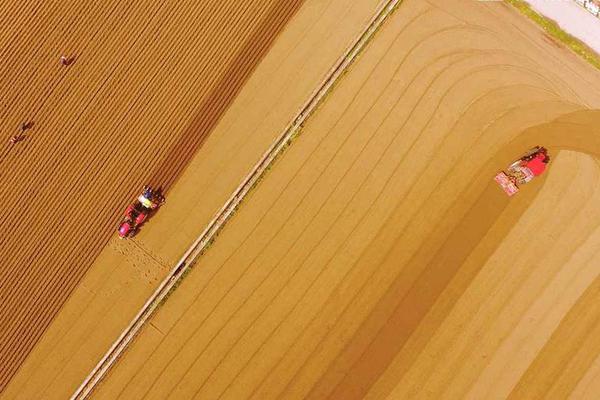 不要忽視內(nèi)存碎片