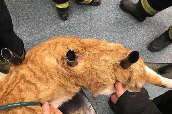 MaxFormat:強(qiáng)力的軟盤(pán)東西